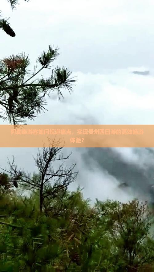 阿勒泰游客如何规避痛点，实现贵州四日游的高效畅游体验？