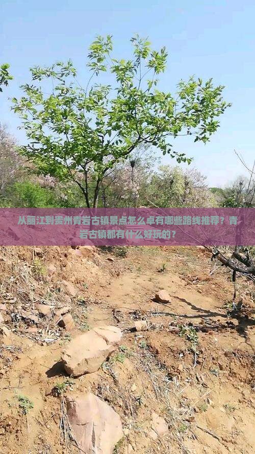 从丽江到贵州青岩古镇景点怎么卓有哪些路线推荐？青岩古镇都有什么好玩的？