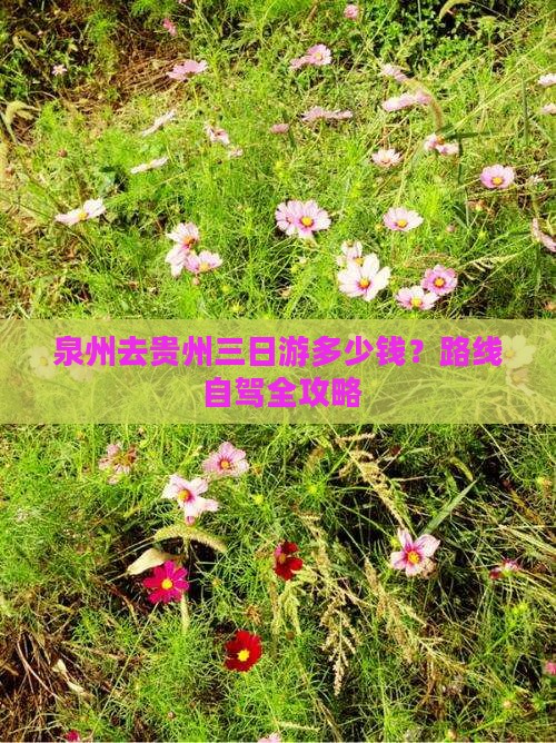 泉州去贵州三日游多少钱？路线+自驾全攻略