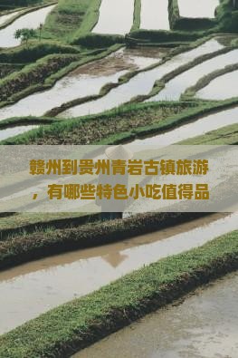 赣州到贵州青岩古镇旅游，有哪些特色小吃值得品尝？