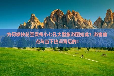 为何攀枝花至贵州小七孔大型旅游团如此？游客痛点与当下热词背后的！