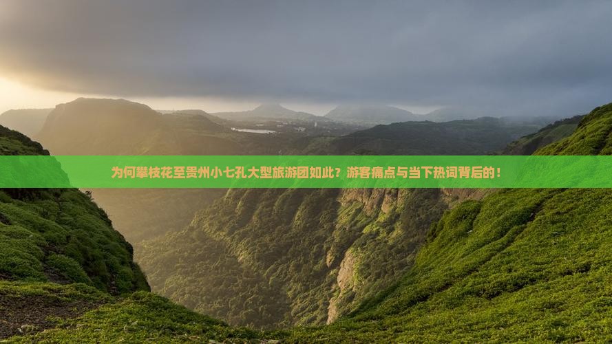 为何攀枝花至贵州小七孔大型旅游团如此？游客痛点与当下热词背后的！