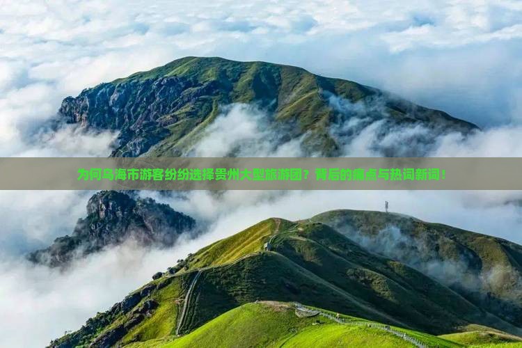 为何乌海市游客纷纷选择贵州大型旅游团？背后的痛点与热词新词！