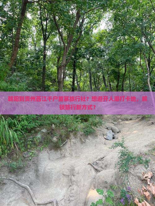 朝阳到贵州西江千户苗寨旅行社？想避开人潮打卡地，解锁旅行新方式？