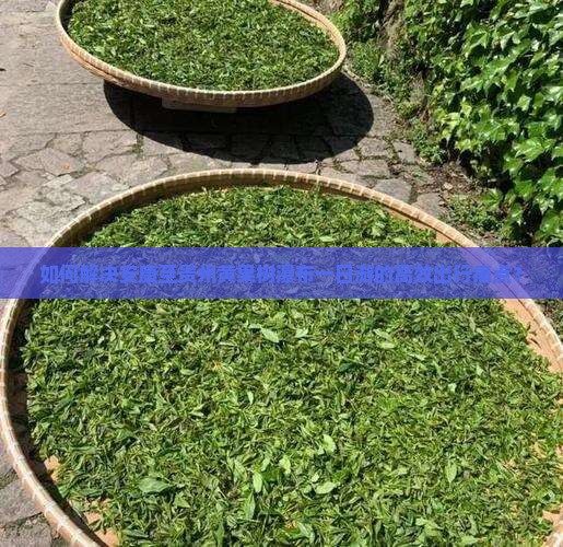 如何解决安康至贵州黄果树瀑布一日游的高效出行痛点？