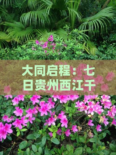大同启程：七日贵州西江千户苗寨深度游