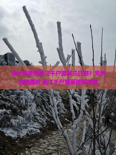 漳州去贵州西江千户苗寨三日游？贵州旅游避坑+西江千户苗寨种草攻略