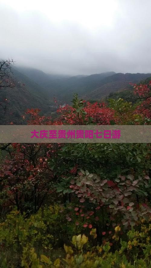 大庆至贵州贵阳七日游