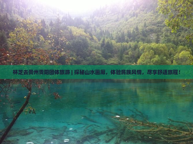 林芝去贵州贵阳团体旅游