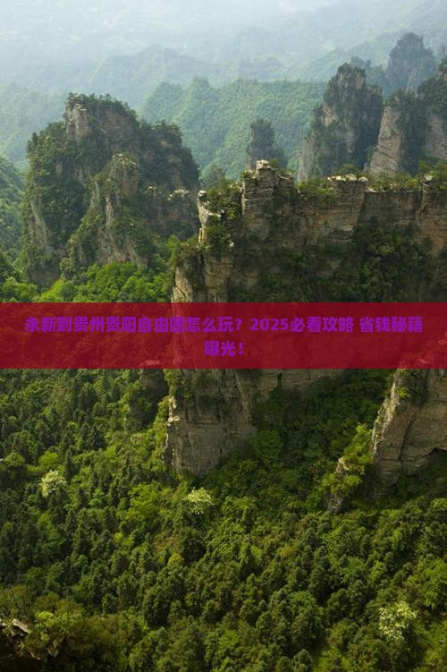 永新到贵州贵阳自由团