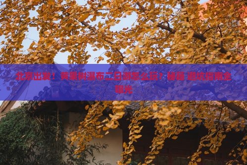 北京到贵州黄果树瀑布二日游
