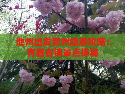 池州到贵州青岩古镇个人游