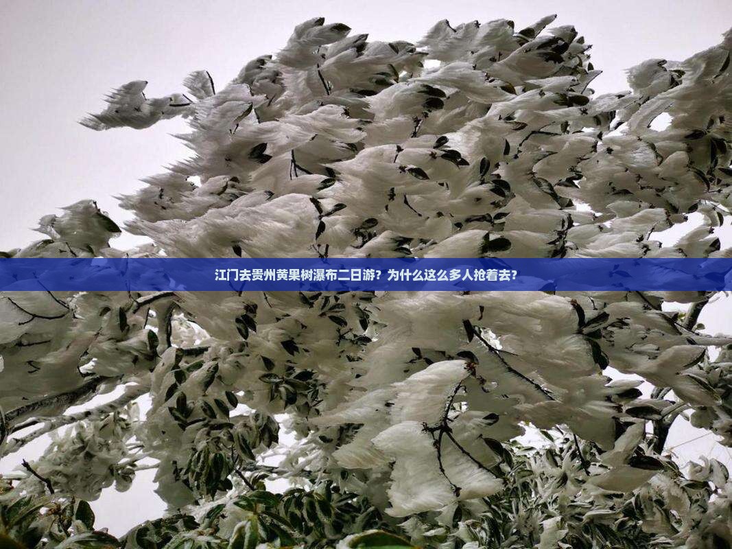 江门去贵州黄果树瀑布二日游