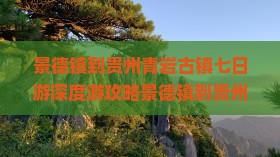 景德镇到贵州青岩古镇七日游