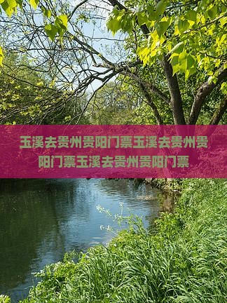玉溪去贵州贵阳门票