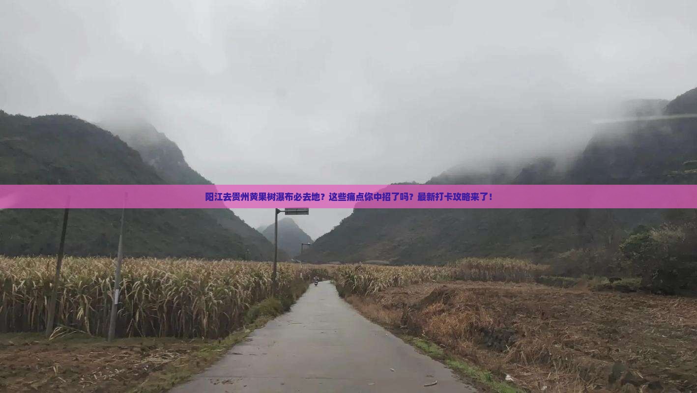 阳江去贵州黄果树瀑布必去地