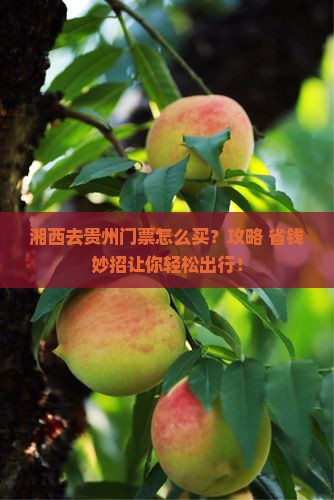 湘西去贵州门票