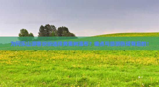 为何乐山游客纷纷选择黄果树瀑布？痛点与旅游热词背后的！