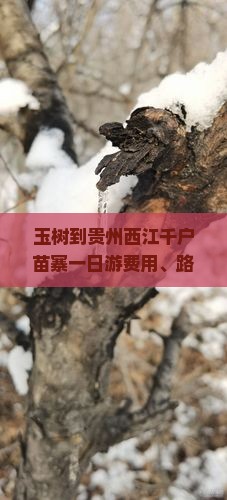 玉树到贵州西江千户苗寨一日游费用、路线及交通指南
