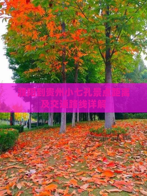 濮阳到贵州小七孔景点距离及交通路线详解