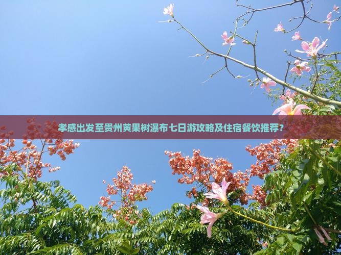 孝感出发至贵州黄果树瀑布七日游攻略及住宿餐饮推荐？
