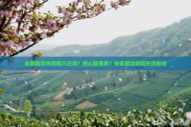 永新到贵州贵阳六日游？担心路费贵？快来看攻略和热词新词