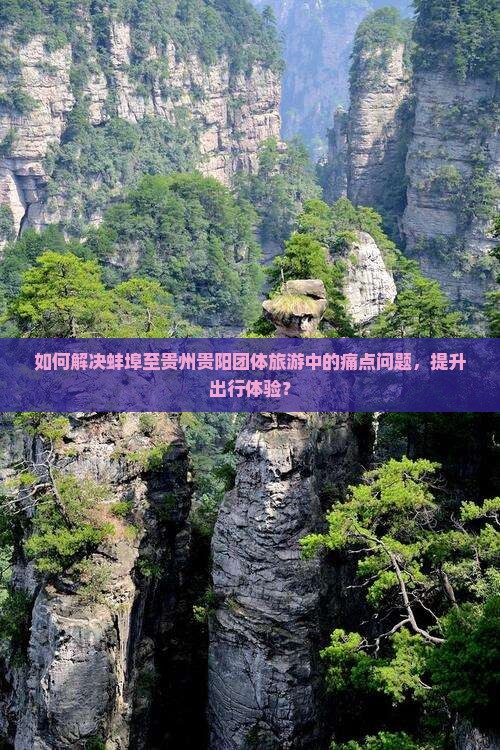 如何解决蚌埠至贵州贵阳团体旅游中的痛点问题，提升出行体验？
