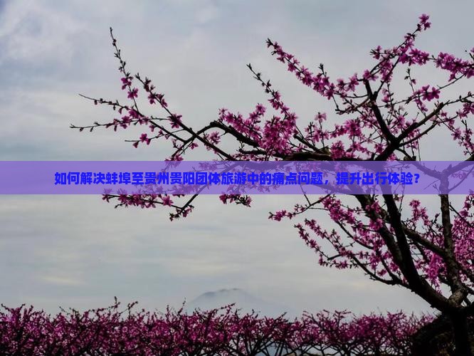如何解决蚌埠至贵州贵阳团体旅游中的痛点问题，提升出行体验？