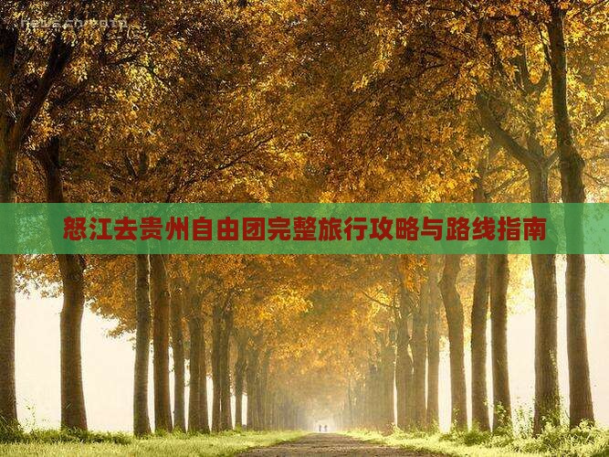 怒江去贵州自由团完整旅行攻略与路线指南