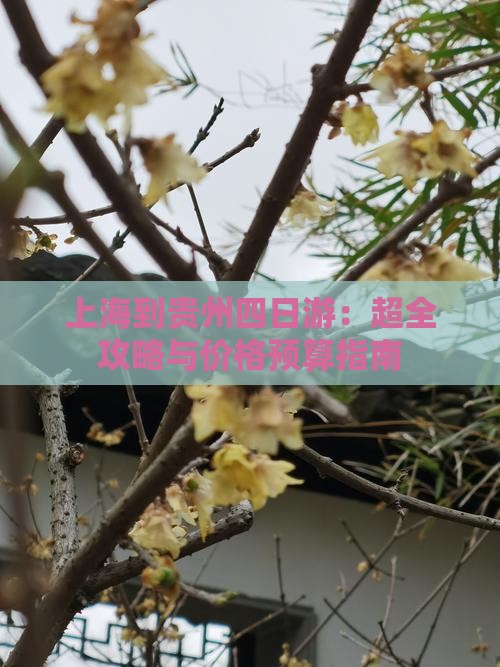 上海到贵州四日游：超全攻略与价格预算指南