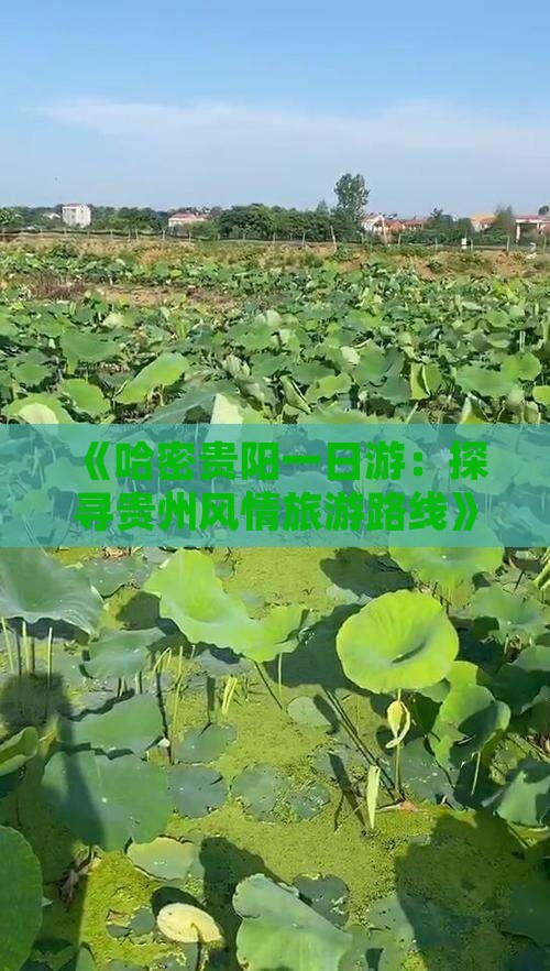 《哈密贵阳一日游：探寻贵州风情旅游路线》
