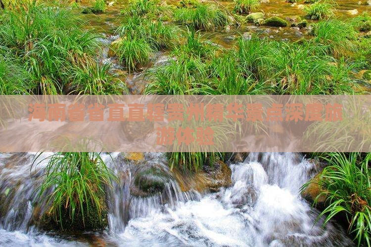 海南省省直直辖贵州精华景点深度旅游体验
