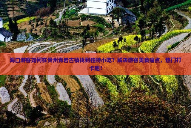 海口游客如何在贵州青岩古镇找到独特小吃？解决游客美食痛点，热门打卡地！