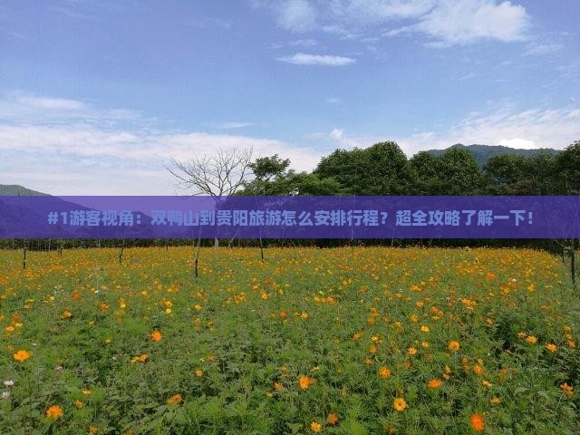 #1游客视角：双鸭山到贵阳旅游怎么安排行程？超全攻略了解一下！