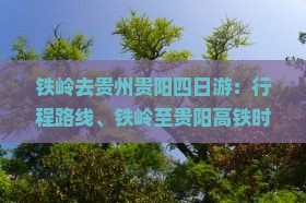 铁岭去贵州贵阳四日游：行程路线、铁岭至贵阳高铁时刻表及票查询