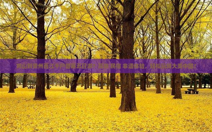 黄山到贵州西江千户苗寨五日游？高铁+民宿+非遗体验，轻松玩转大美中国！