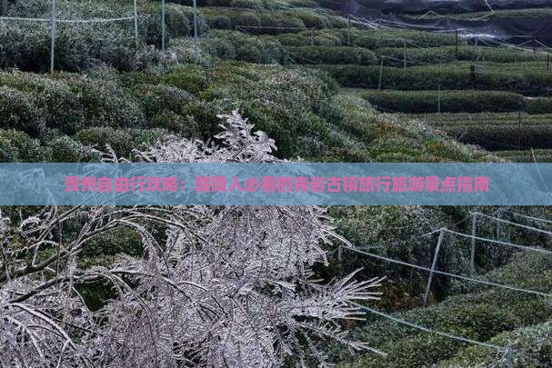 贵州自由行攻略：醴陵人必看的青岩古镇旅行旅游景点指南