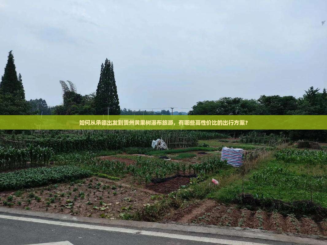 如何从承德出发到贵州黄果树瀑布旅游，有哪些高性价比的出行方案？
