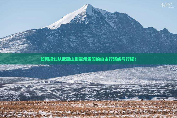 如何规划从武夷山到贵州贵阳的自由行路线与行程？