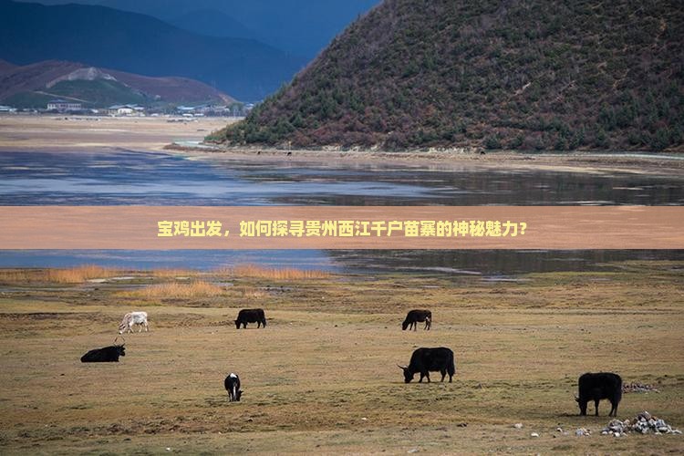 宝鸡出发，如何探寻贵州西江千户苗寨的神秘魅力？