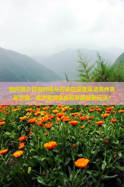 如何用六日游时间从石家庄深度探访贵州青岩古镇，解决旅游痛点和掌握最新玩法？