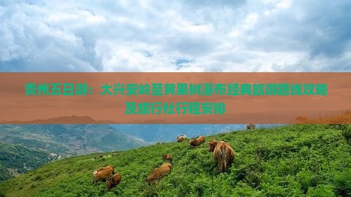 贵州五日游：大兴安岭至黄果树瀑布经典旅游路线攻略及旅行社行程安排