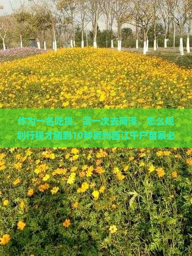 作为一名吃货，第一次去菏泽，怎么规划行程才脑到10种贵州西江千户苗寨必尝的小吃？