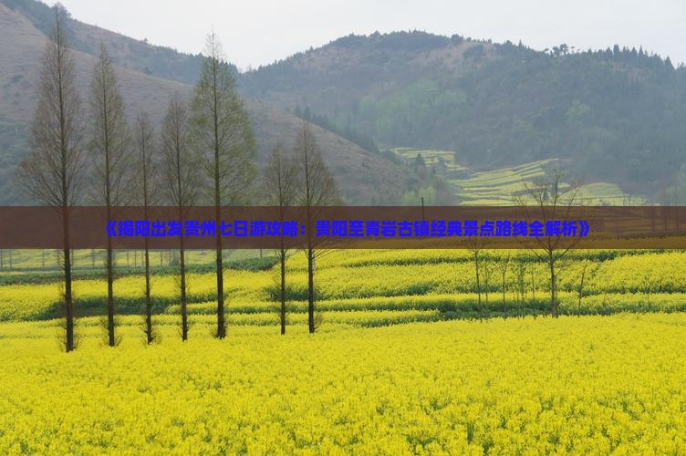 《揭阳出发贵州七日游攻略：贵阳至青岩古镇经典景点路线全解析》