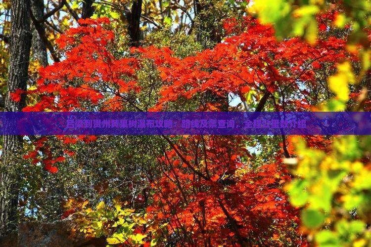 吕梁到贵州黄果树瀑布攻略：路线及票查询，全程公里数介绍