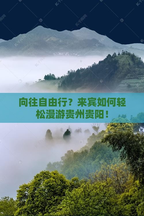 向往自由行？来宾如何轻松漫游贵州贵阳！
