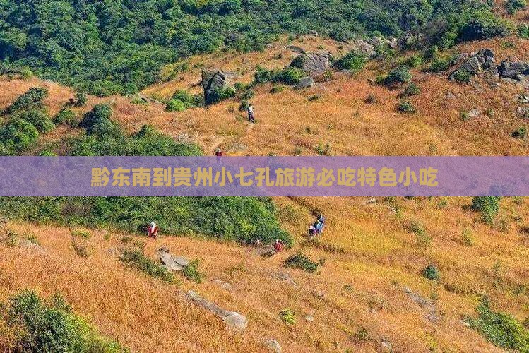 黔东南到贵州小七孔旅游必吃特色小吃