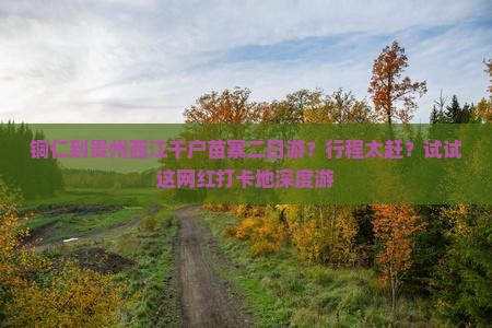 铜仁到贵州西江千户苗寨二日游？行程太赶？试试这网红打卡地深度游