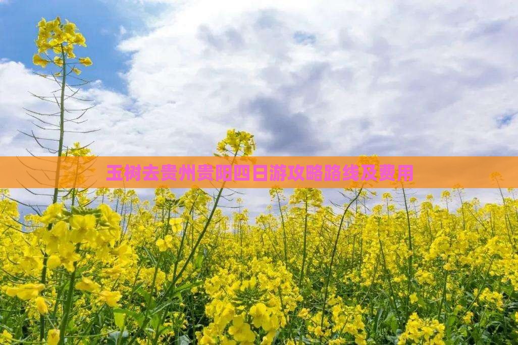 玉树去贵州贵阳四日游攻略路线及费用