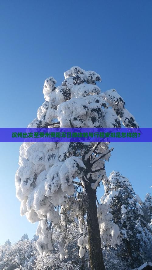 滨州出发至贵州贵阳五日游攻略与行程安排是怎样的？